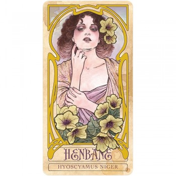 Lady Stirling's Wicked Garden orakulo kortų ir knygos rinkinys US Games Systems